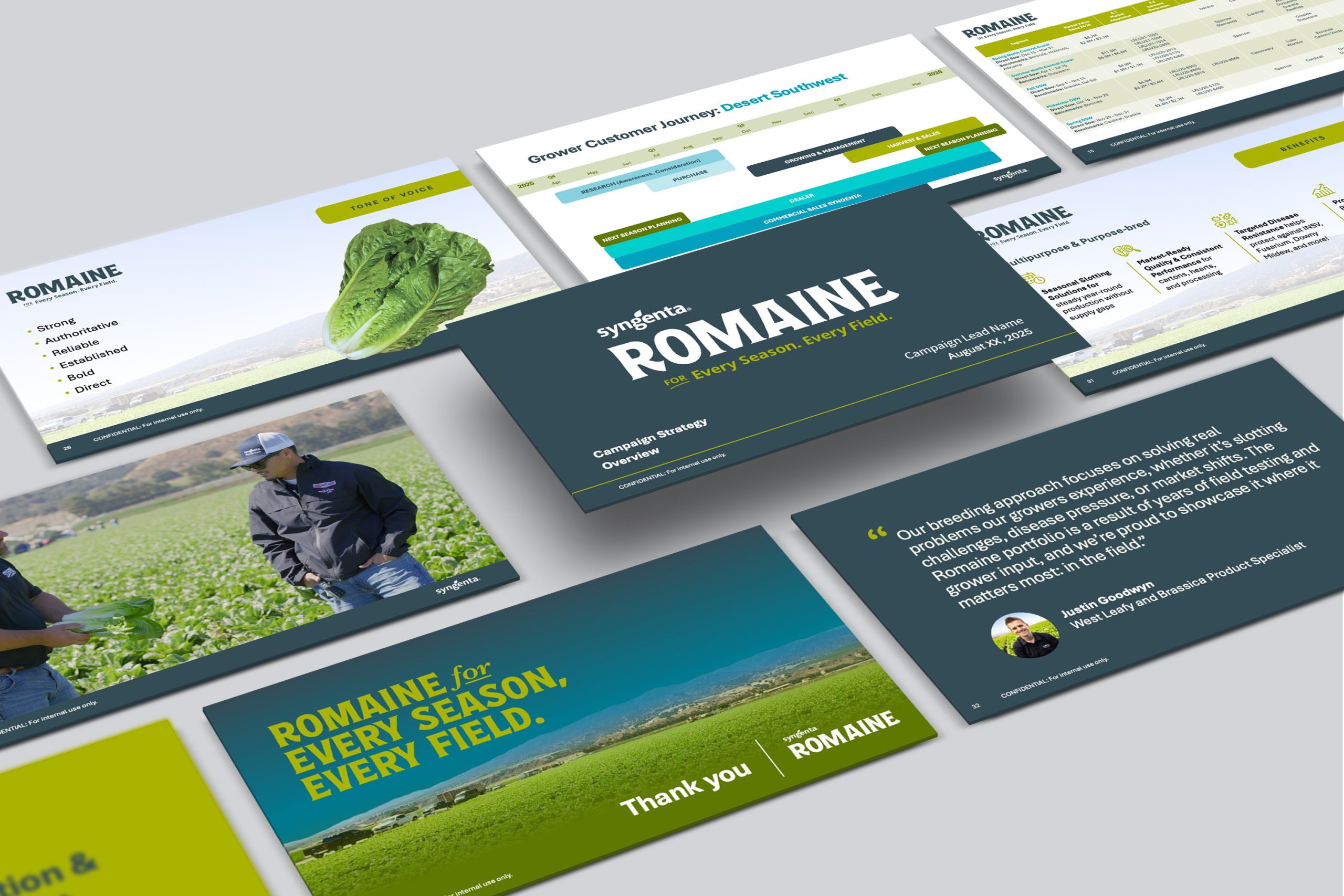 romaine campaign powerpoint slides design