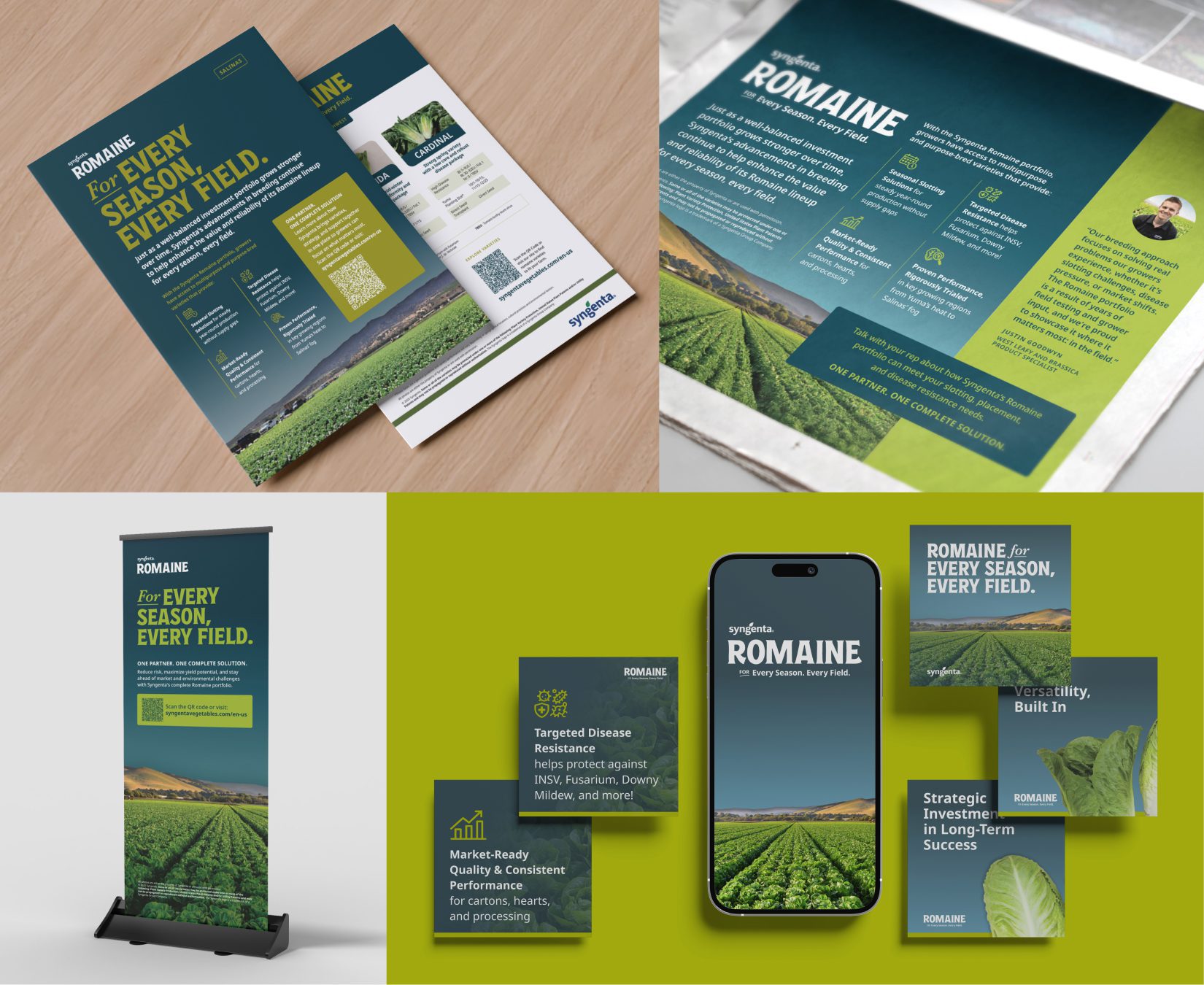 syngenta vegetables romaine campagin assets